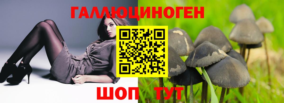 Псилоцибиновые грибы мицелий  Вход с VPN  Воткинск 